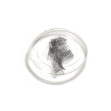 lashsense-lashes-refill-plumeria-4-ct