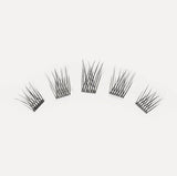 lashsense-lashes-bloom-box
